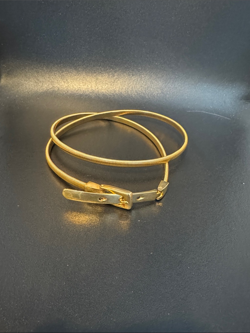 Vintage Gold Snake Chain Belt